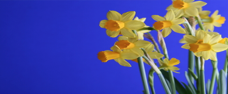 blocks_image